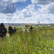 Sciences en famille : les amphibiens