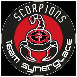 Scorpions de Mulhouse - Clermont-Ferrand (hockey)