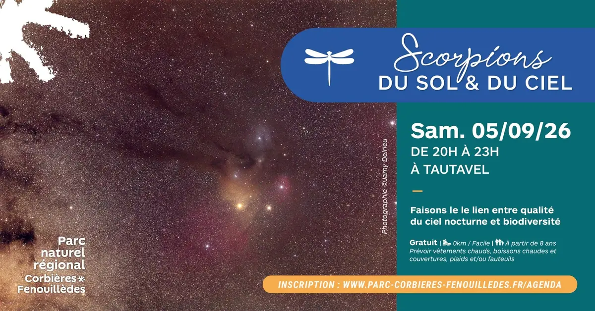 Scorpions Du Sol Et Du Ciel, Sortie Nocturne