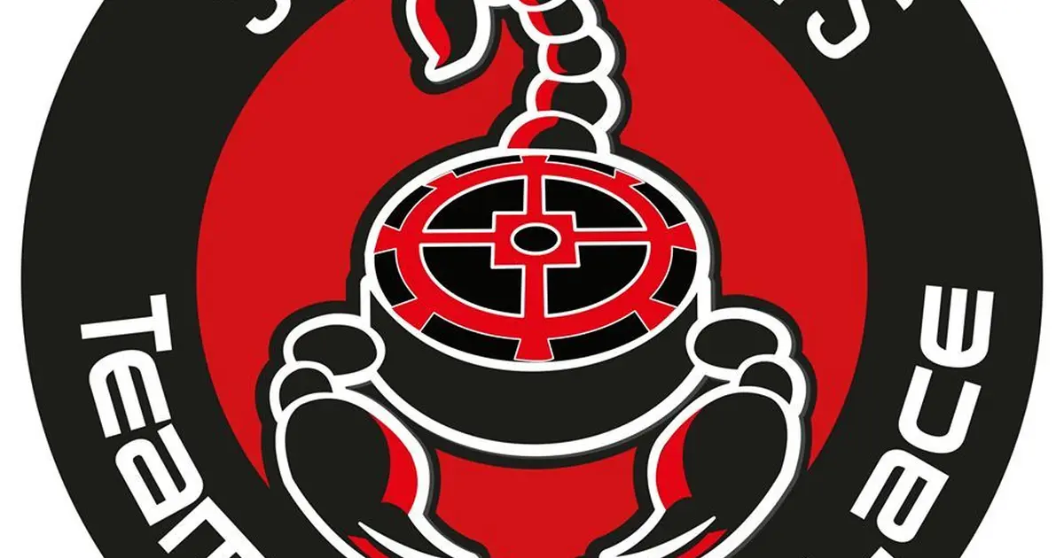 Scorpions Hockey Mulhouse