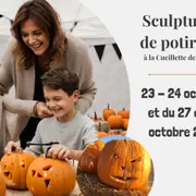 Sculpture citrouille d'Halloween à la Ferme de Viltain (78)