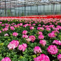 Se préparer pour l'été DR