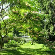 Se vois jusqu'au cœur, RDV aux Jardins