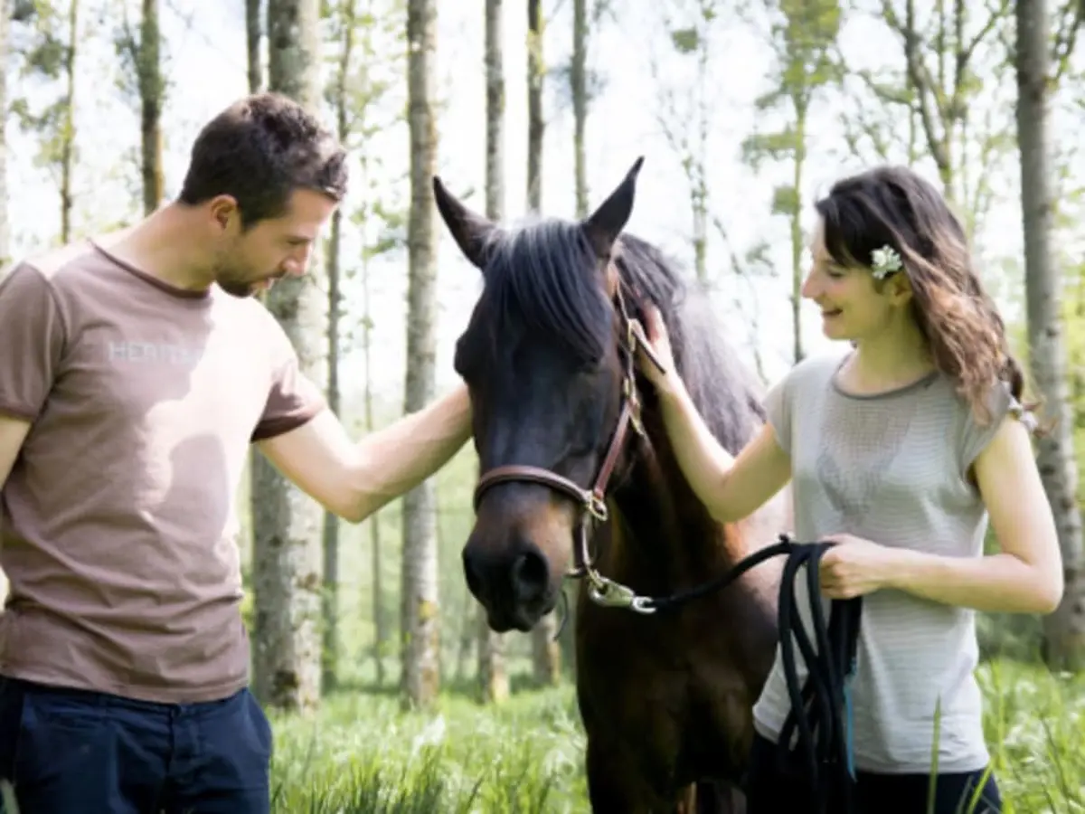 Séance d'équi-coaching proche de Bordeaux (33)