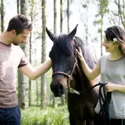 Séance d'équi-coaching proche de Bordeaux (33)