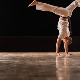 Séance de démonstration : L'Animal Flow