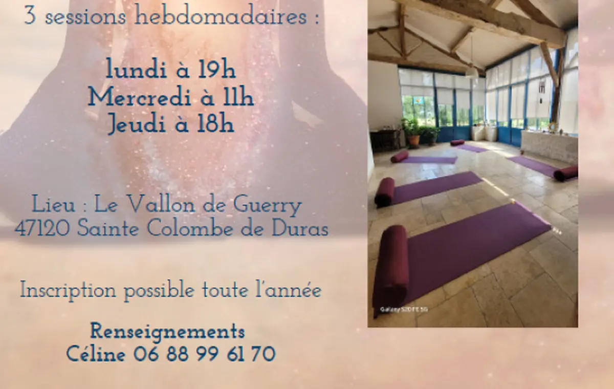 Séance de Hatha Yoga