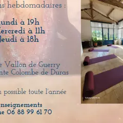 Séance de Hatha Yoga