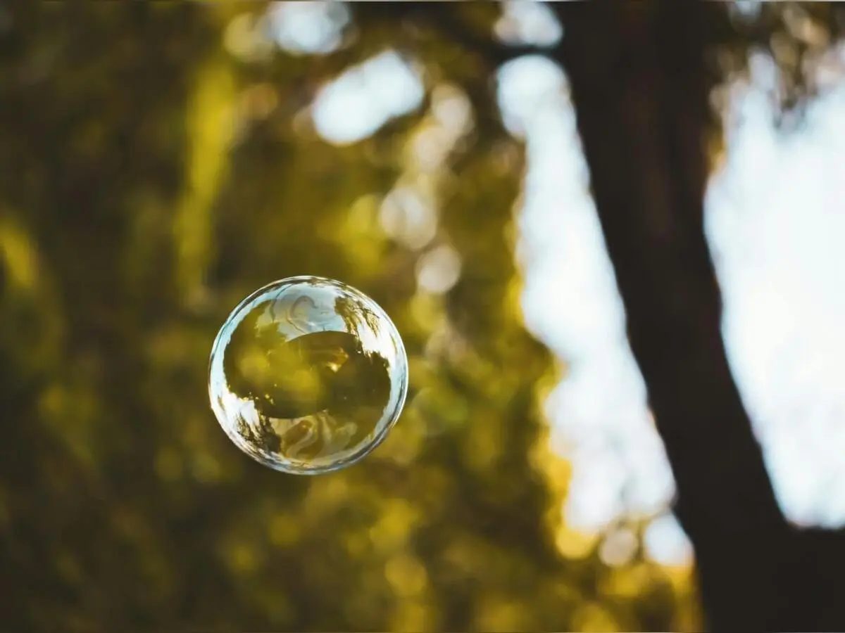 Séance de sophrologie Bulle de nature