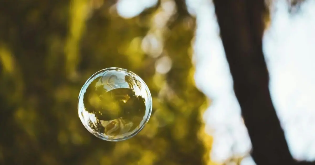 Séance de sophrologie "Bulle de nature"