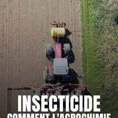 Séance débat avec la projection : INSECTICIDE