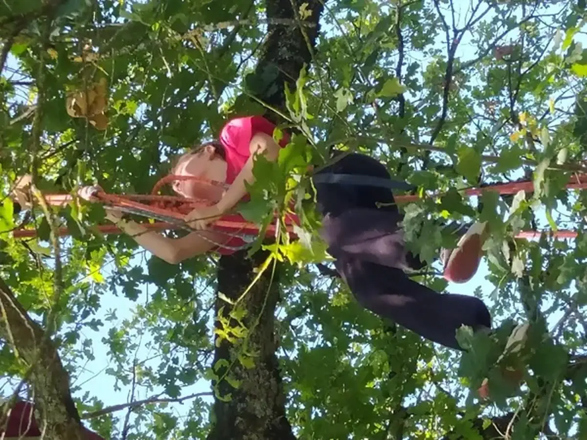 Séance découverte de grimpe d'arbres avec Symbiose