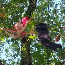 Séance découverte de grimpe d'arbres avec Symbiose