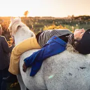 Séance privée ou en duo d'équi-coaching à l'Ile d'Yeu (85)