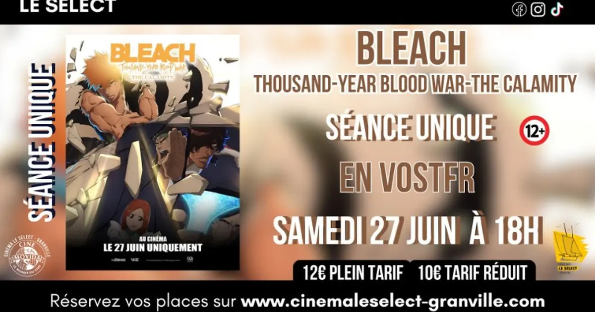 Séance spéciale - Bleach