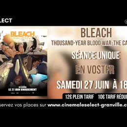 Séance spéciale - Bleach