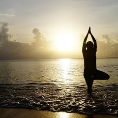 Séance Yoga
