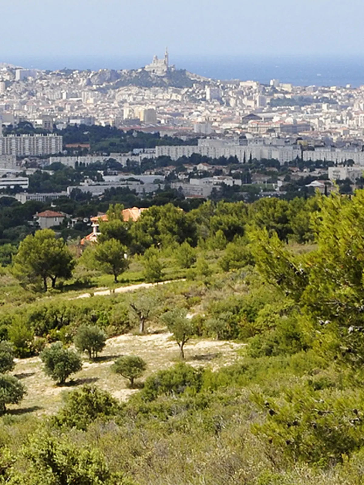 Séances d'entraînement observations Inaturalist, CNC 2026