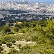 Séances d'entraînement observations Inaturalist, CNC 2026