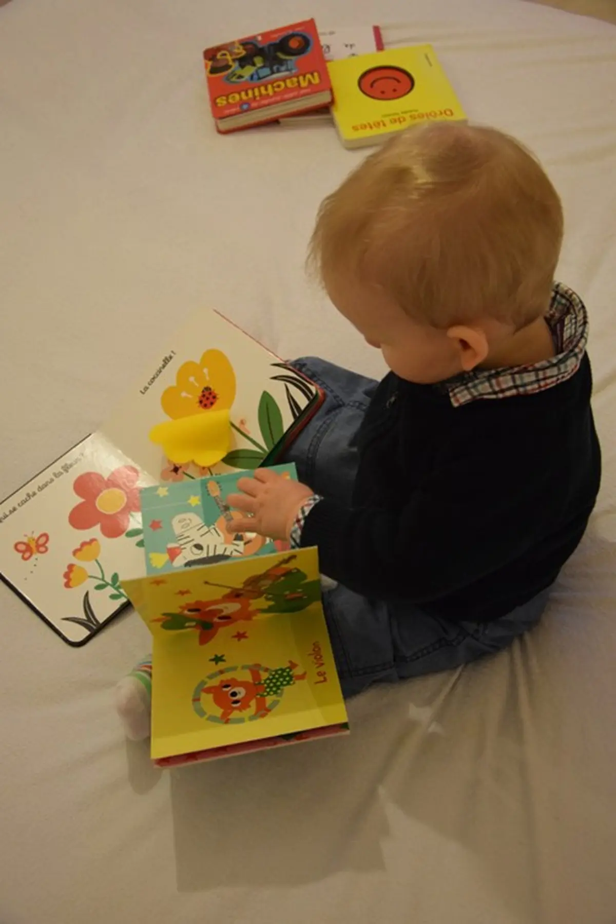 Séances de « bébés-lecteurs » pour les 0 - 3 ans