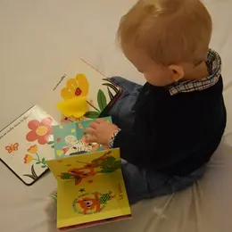 Séances de « bébés-lecteurs » pour les 0 - 3 ans