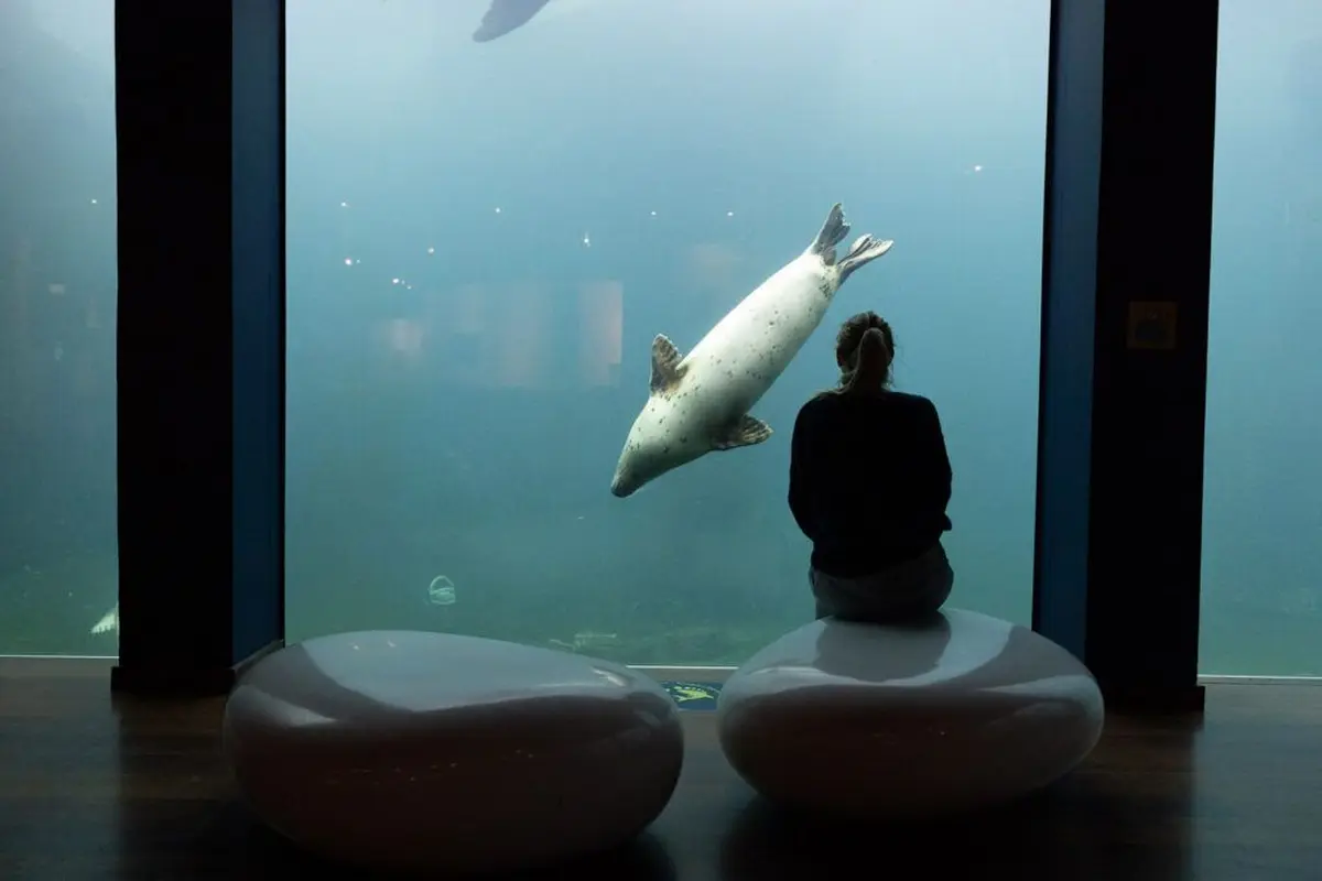 Seaquarium du Grau-du-Roi