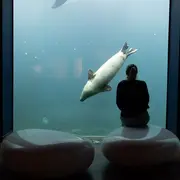 Seaquarium du Grau-du-Roi