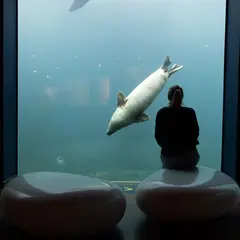 Seaquarium du Grau-du-Roi