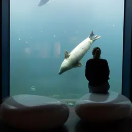 Seaquarium du Grau-du-Roi
