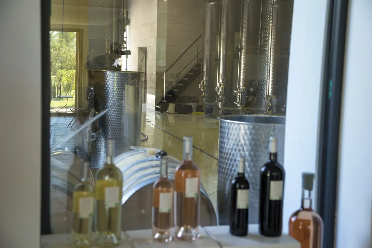 Secret de vinification au Domaine de Belambrée