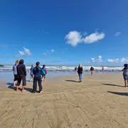 Secrets de Nature : balade bota sophro bord de mer