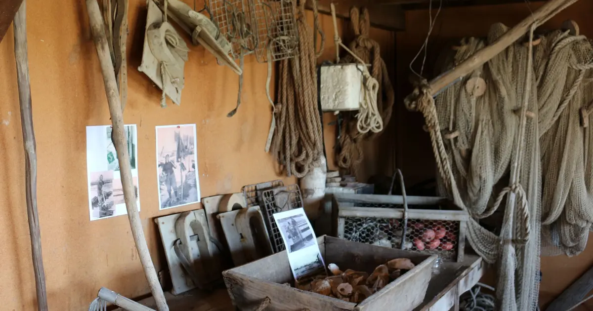 Secrets du Bassin : l'ostréiculture pour tous
