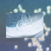 Seeing, Keeping, Giving - Anouk Levesque & Luca Gianola à la Galerie du Crous de Paris