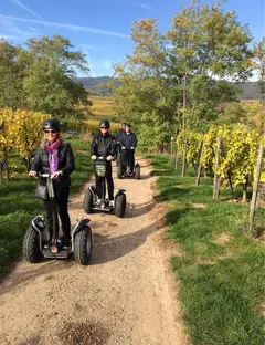 Oenotourismus - Segway dans le vignoble