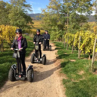 Oenotourismus - Segway dans le vignoble