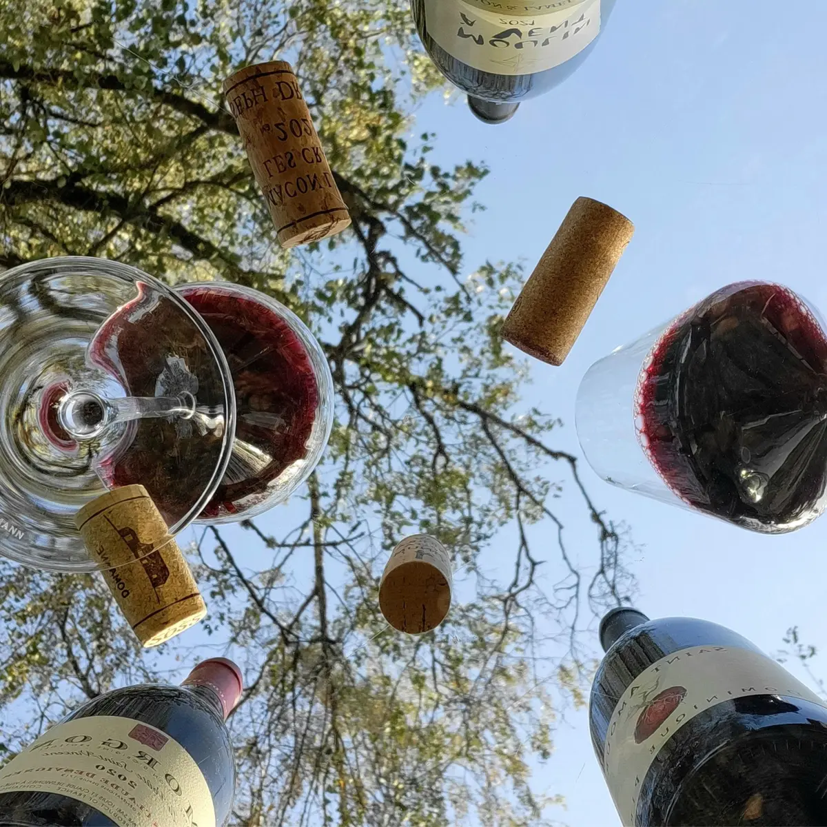 Le Beaujolais nouveau se dévoile 