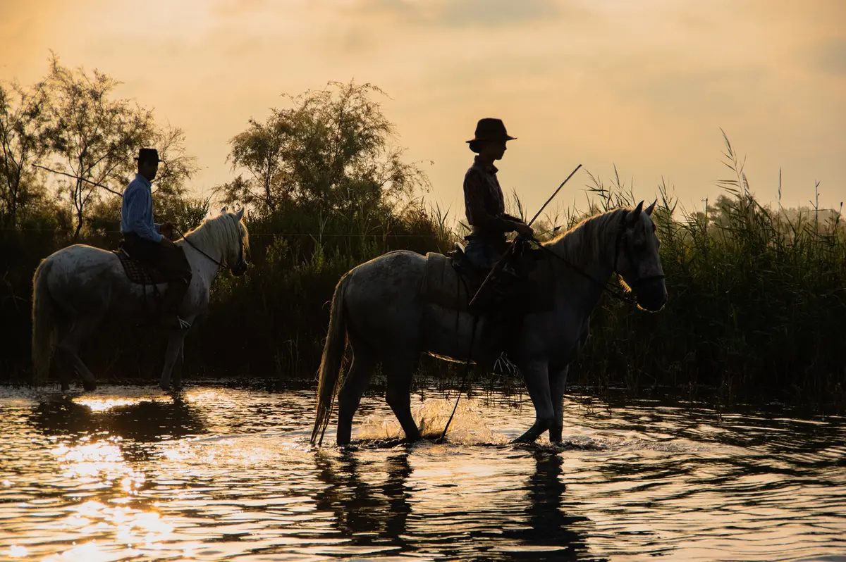 Séjour d'exception en Camargue : du 6 au 9 septembre