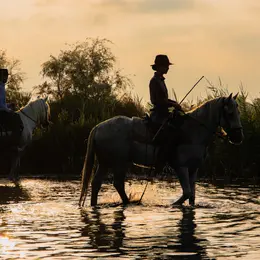 Séjour d'exception en Camargue : du 6 au 9 septembre