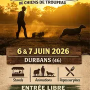 Sélectif, championnat d'Europe de chiens de troupeau, à Durbans