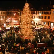 Sélestat, capitale de l\'arbre de Noël : marché de Noël et animations