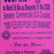 Semaine Commerciale