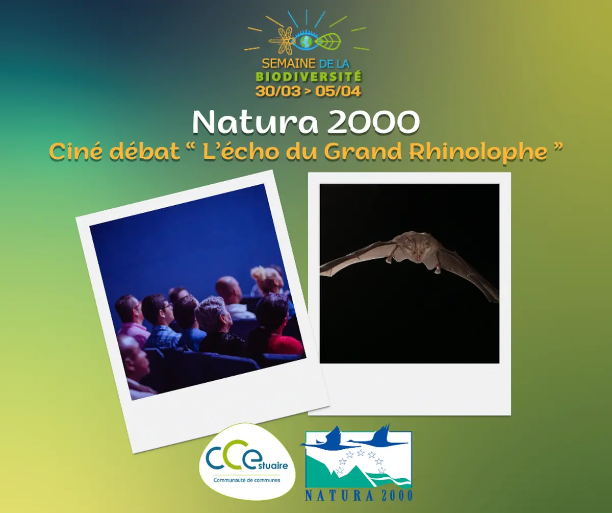 SEMAINE DE LA BIODIVERSITÉ - Ciné Débat L’écho du Grand Rhinolophe avec Natura 2000