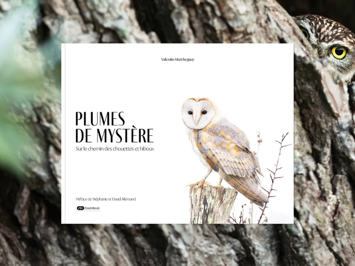 SEMAINE DE LA BIODIVERSITÉ - Conférence avec le photographe animalier Valentin Marchegay