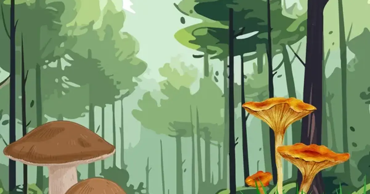 Semaine de la biodiversité : Théâtre "Au Pied de mon arbre"
