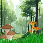 Semaine de la biodiversité : Théâtre Au Pied de mon arbre