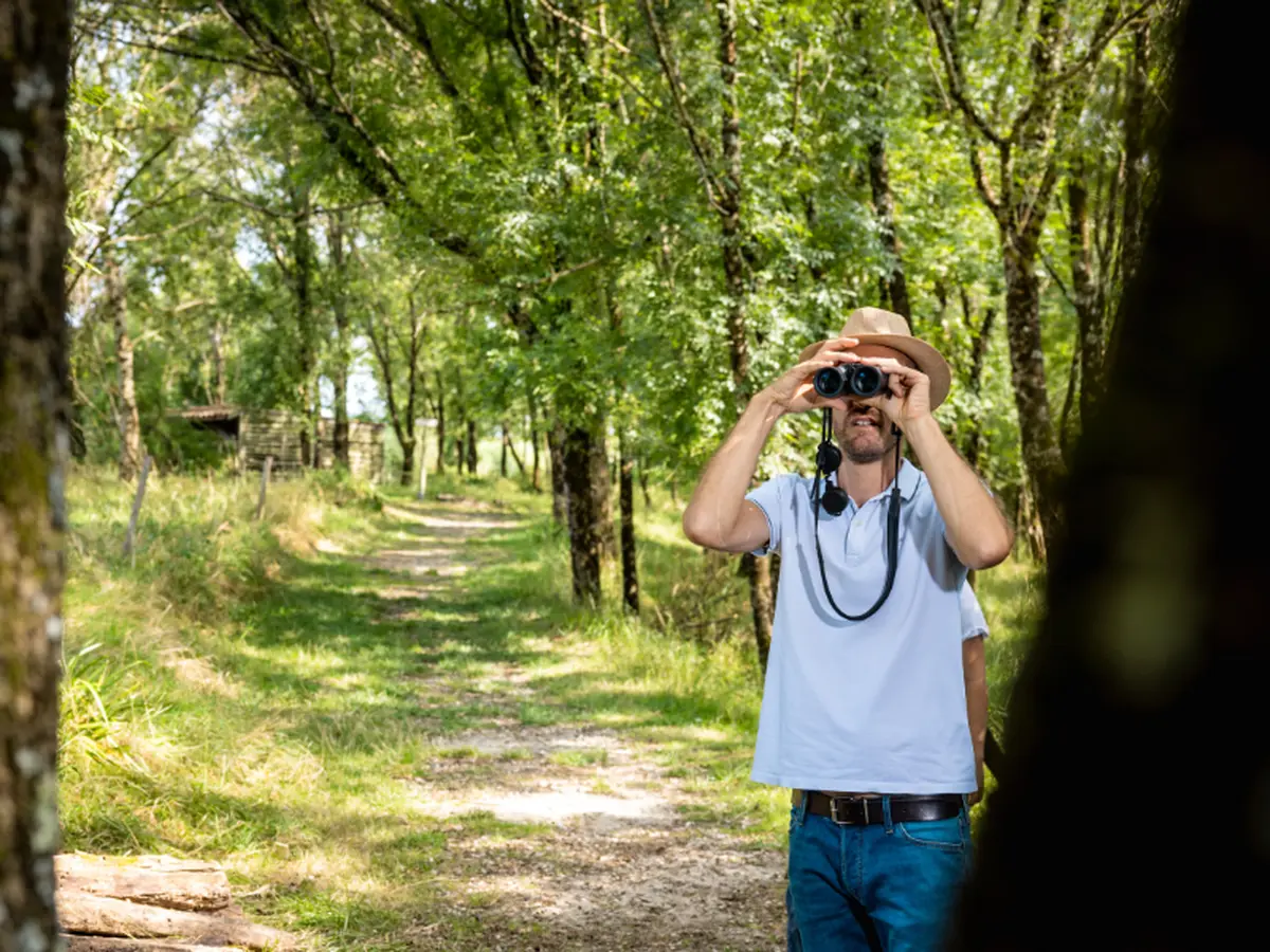 SEMAINE DE LA BIODIVERSITÉ - Visite guidée ornitologique Une merveilleuse histoire du temps