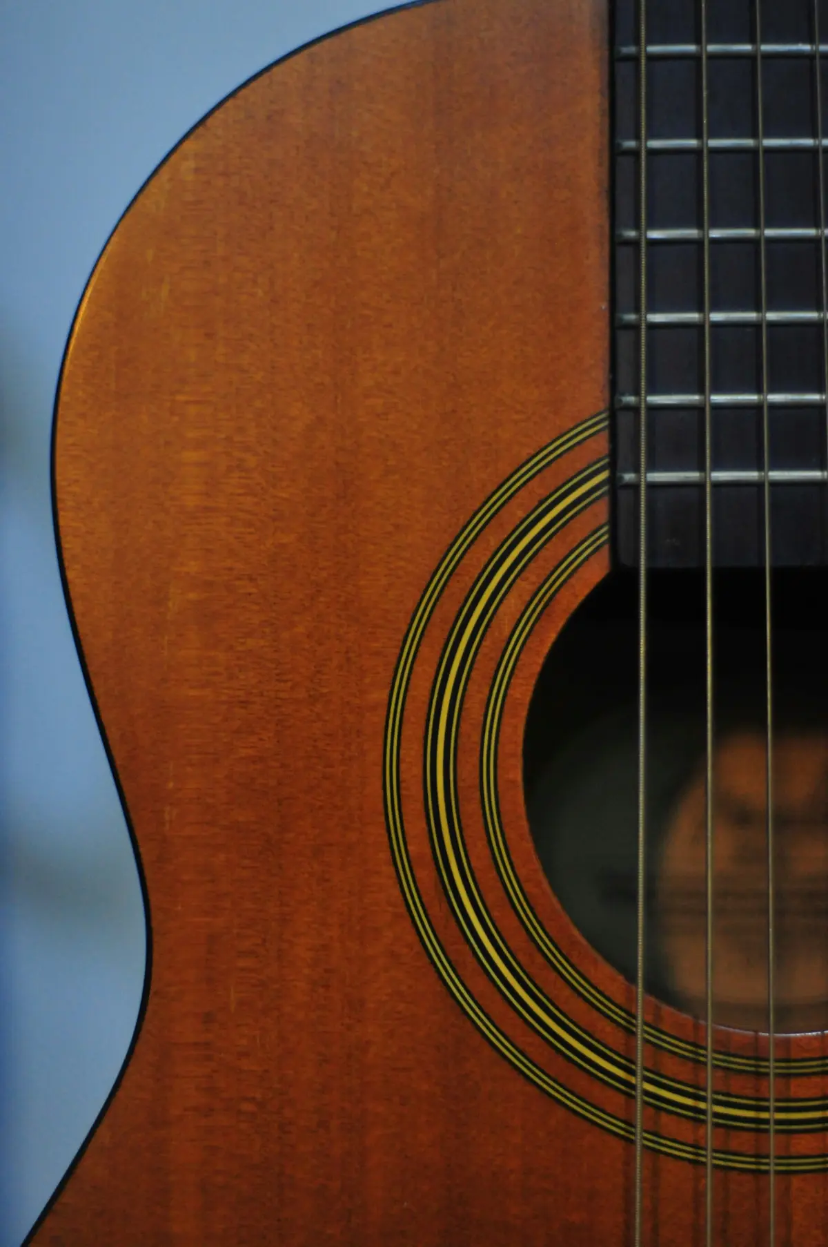 Semaine de la guitare - Exposition