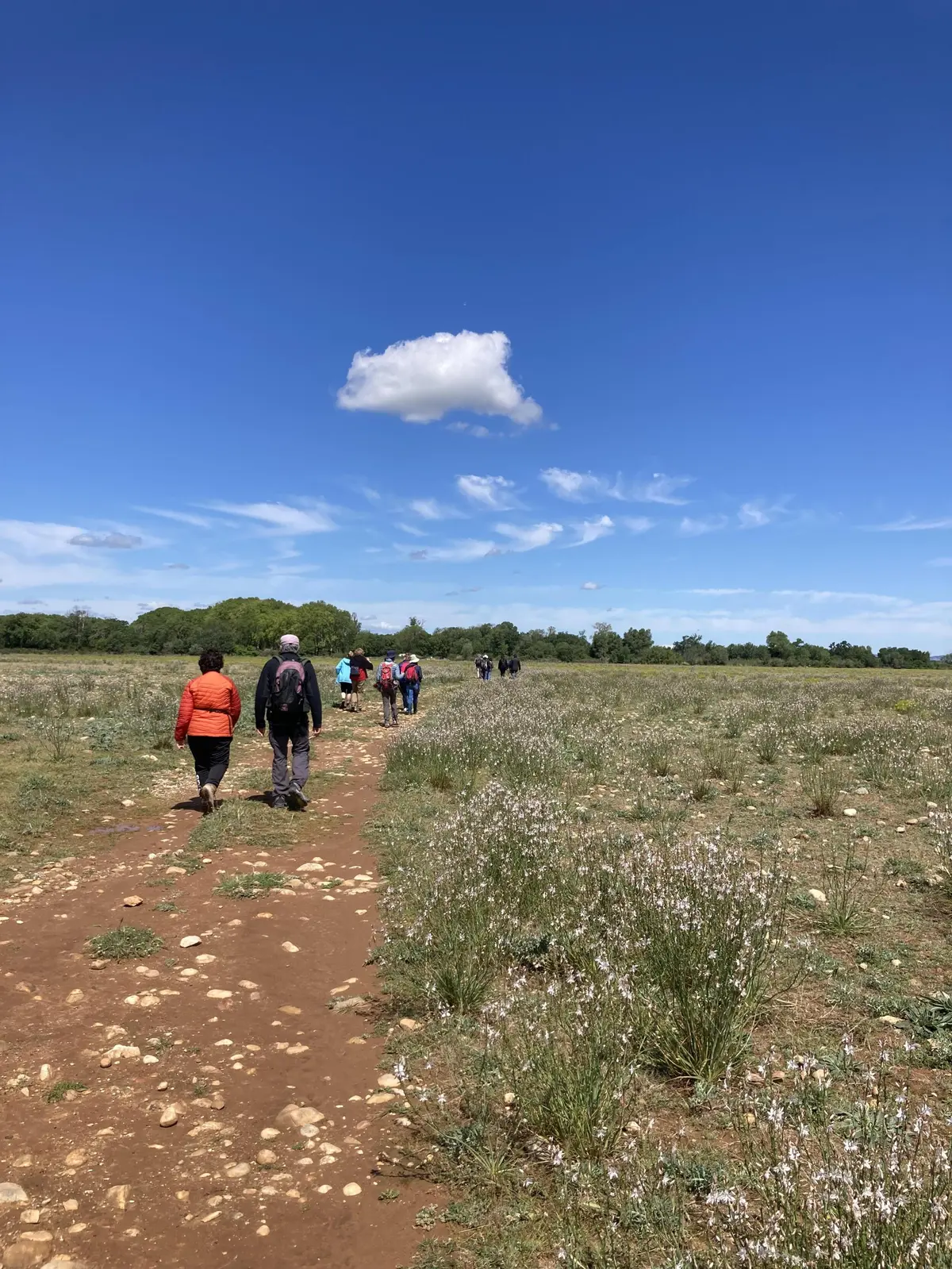 Semaine de la randonnée : Les Coussouls de Crau