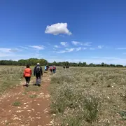Semaine de la randonnée : Les Coussouls de Crau