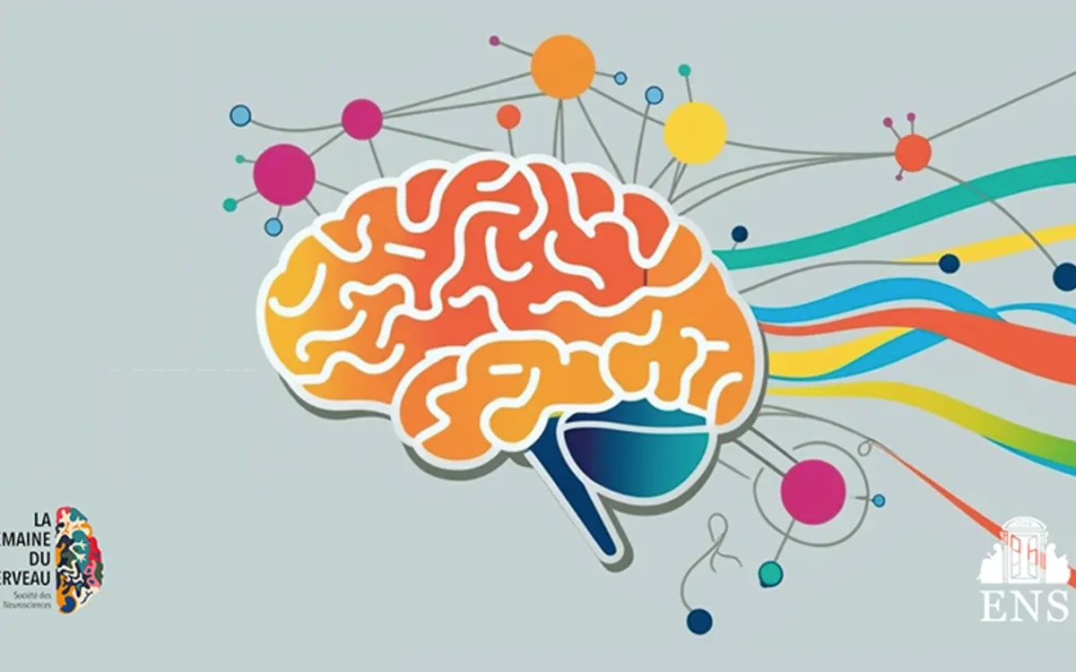 Semaine du cerveau 2026 à l'ENS-PSL